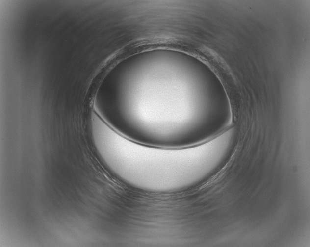 X0000071901210200607070910