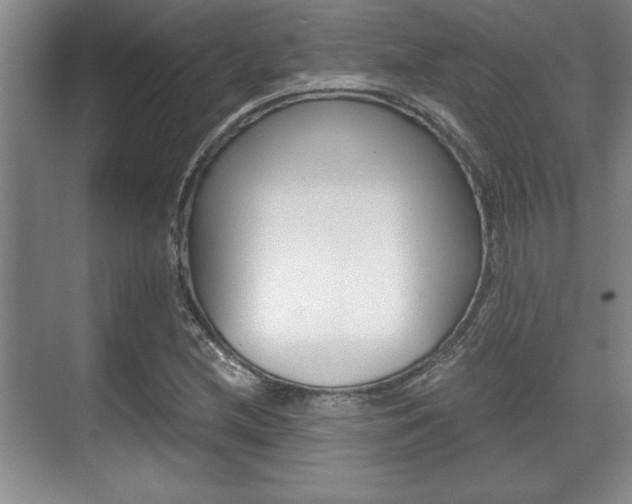 X0000071901212200607070910