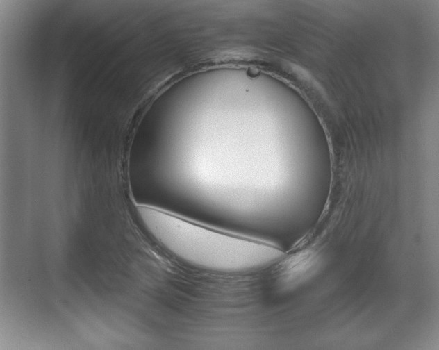 X0000071901217200607070911
