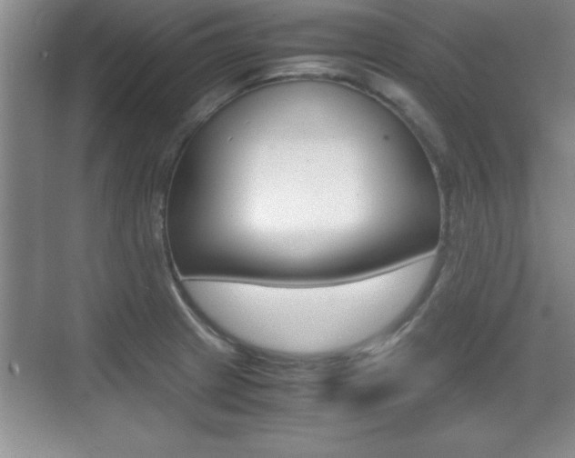 X0000071901233200607070911
