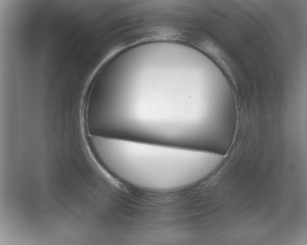 X0000071901235200607070911