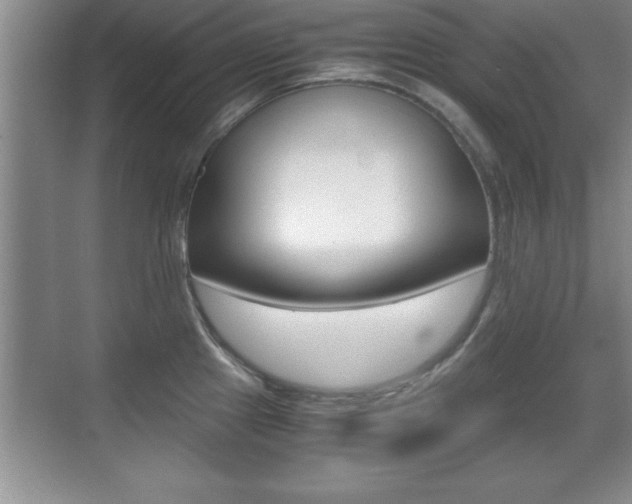 X0000071901241200607070911