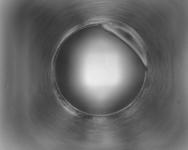 X0000071901242200607070911