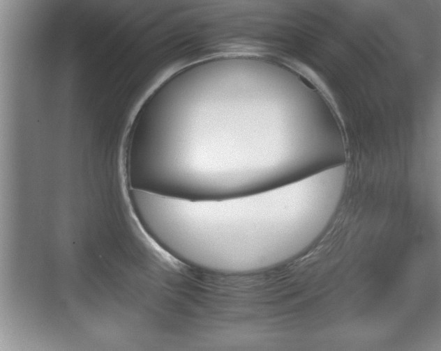 X0000071901243200607070911