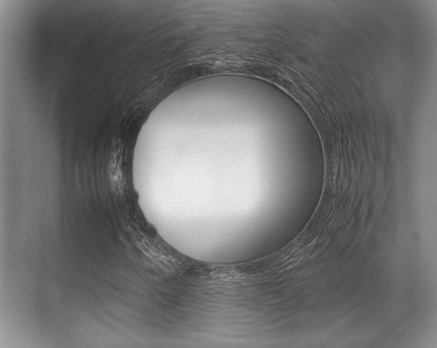 X0000071901250200607070910