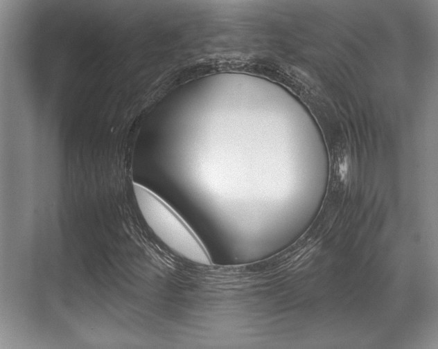 X0000071901252200607070910