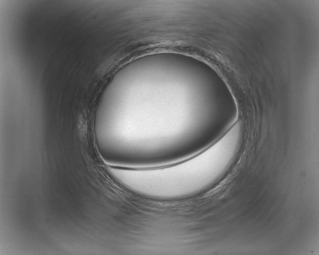 X0000071901257200607070910