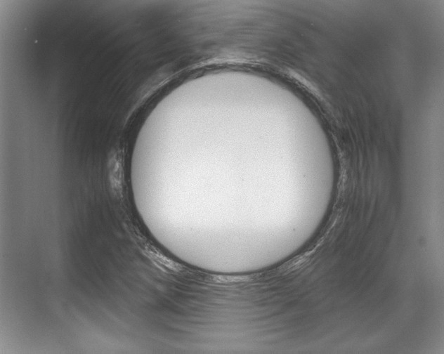 X0000071901258200607070910