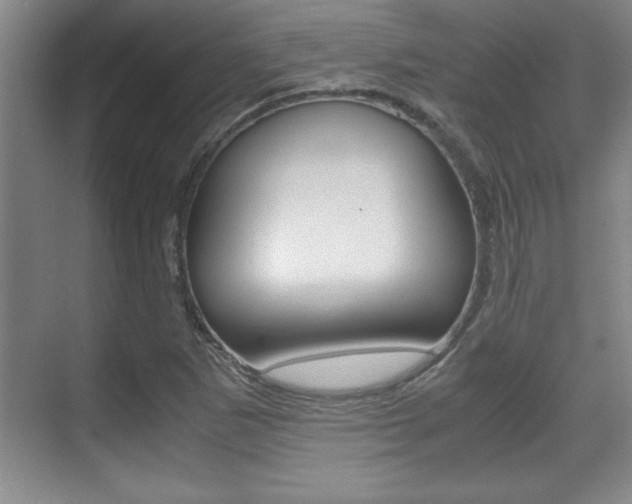 X0000071901265200607070910