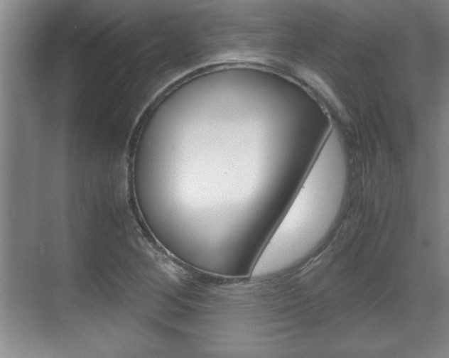 X0000071901268200607070910