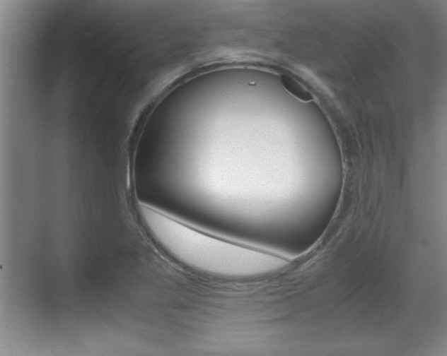 X0000071901269200607070910