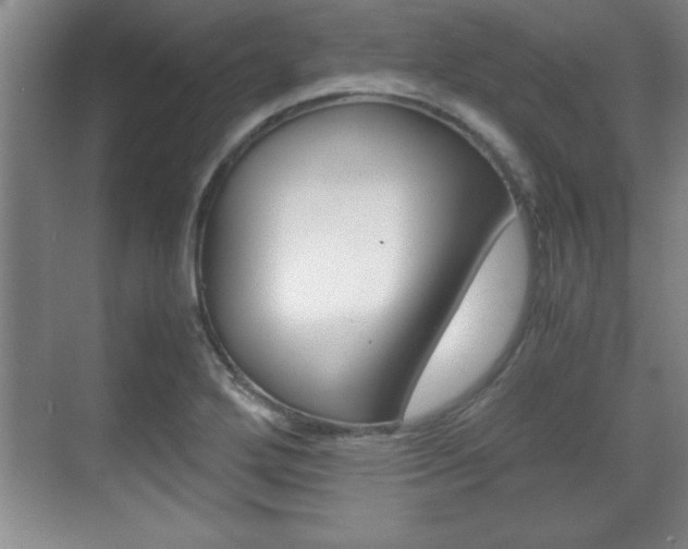 X0000071901272200607070910