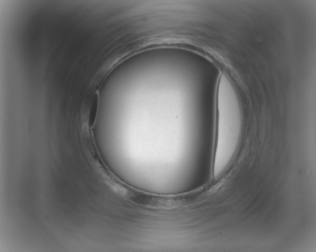 X0000071901273200607070910