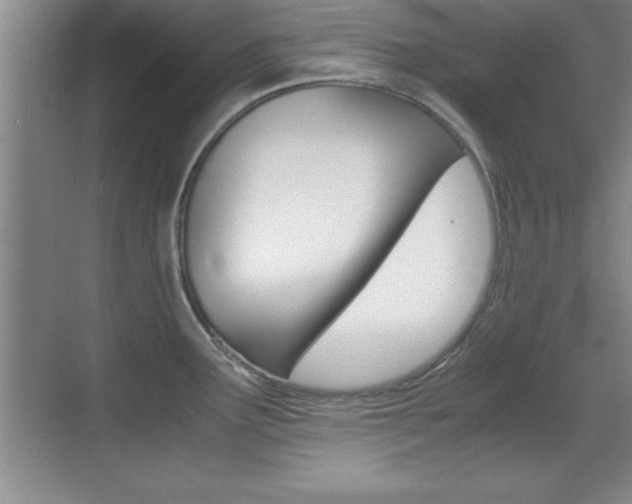 X0000071901291200607070910