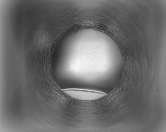 X0000071901297200607070909