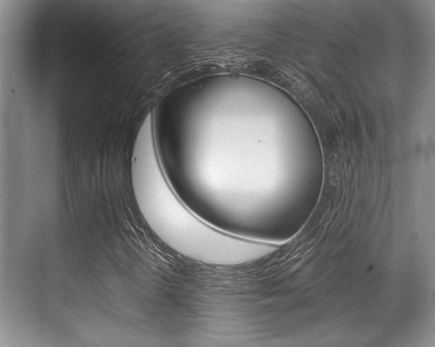 X0000071901298200607070909