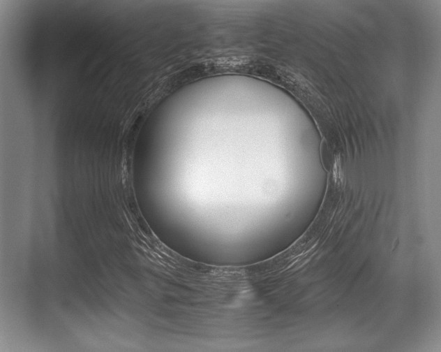 X0000071901299200607070909