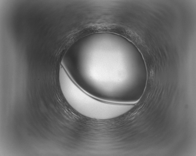 X0000071901300200607070909