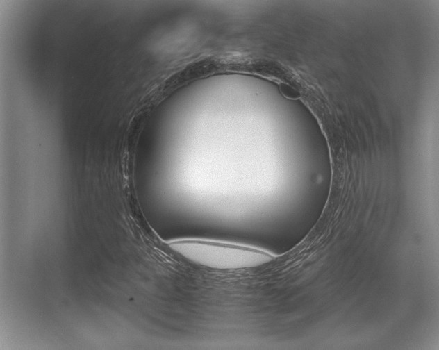 X0000071901301200607070909