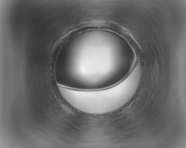 X0000071901304200607070909