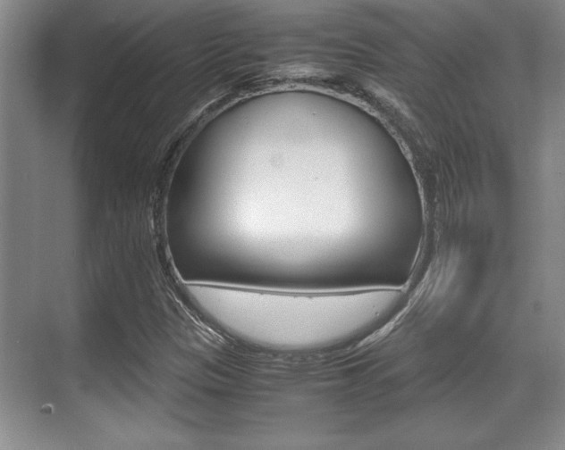 X0000071901305200607070909