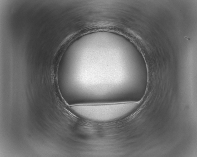 X0000071901306200607070909