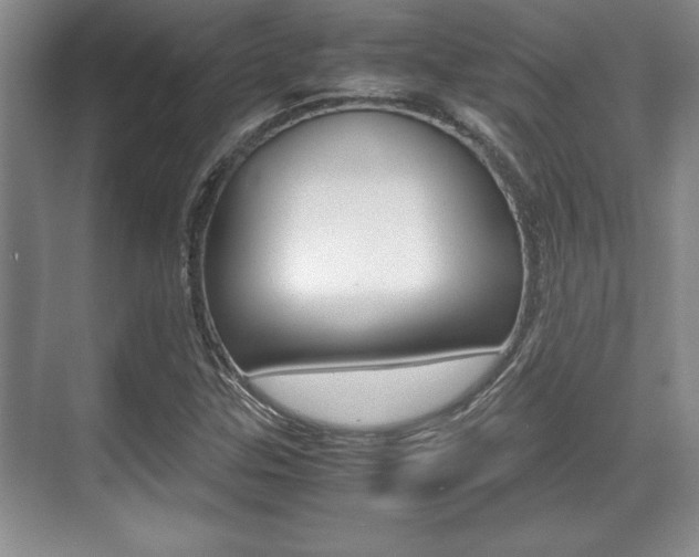 X0000071901307200607070909