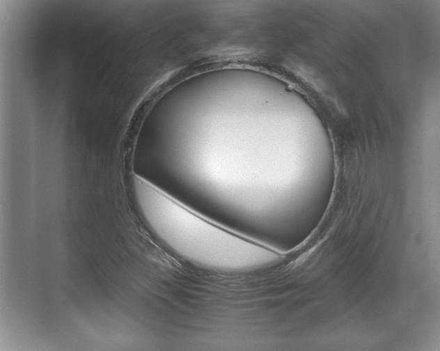 X0000071901309200607070909