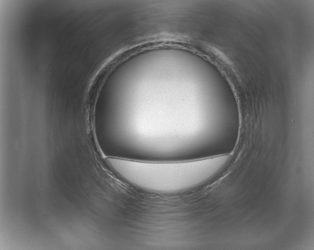 X0000071901310200607070909