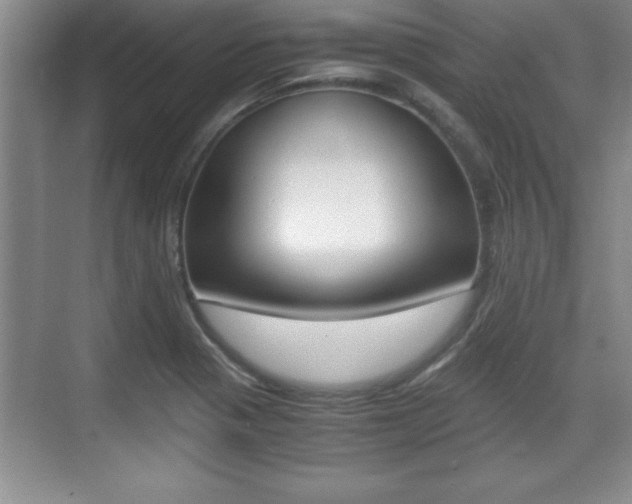 X0000071901321200607070909
