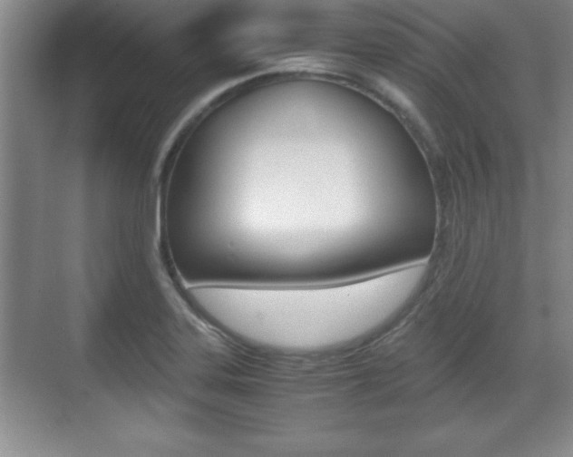 X0000071901323200607070909