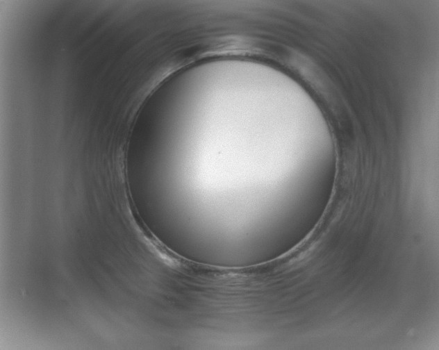 X0000071901329200607070909