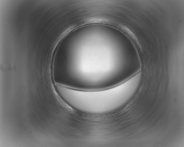 X0000071901330200607070909