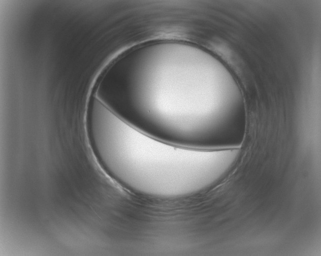 X0000071901331200607070909
