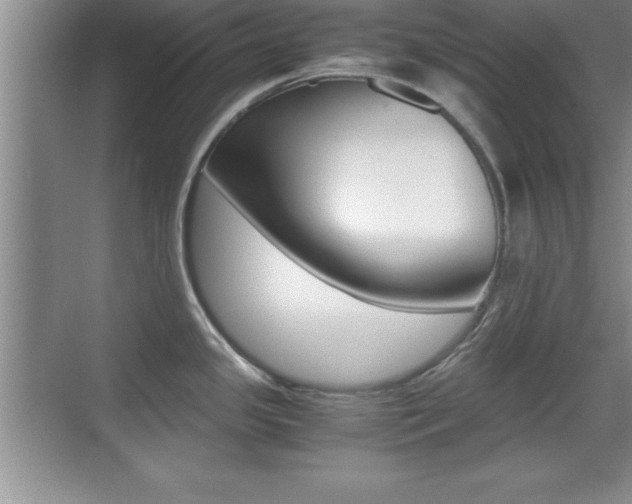 X0000071901341200607070909