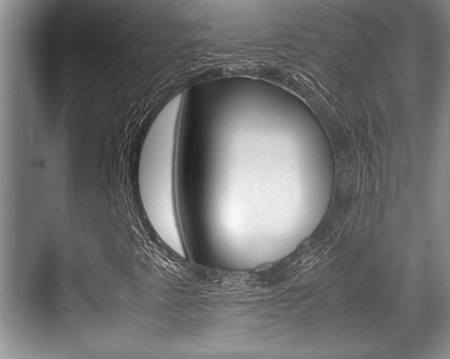 X0000071901345200607070909