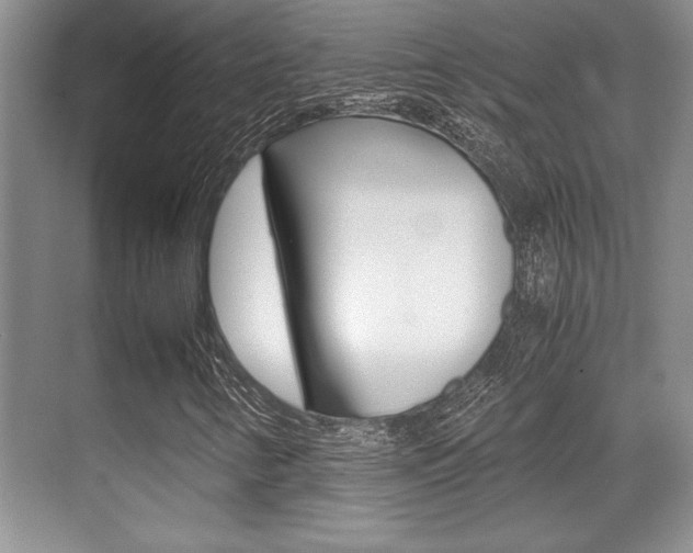X0000071901346200607070909