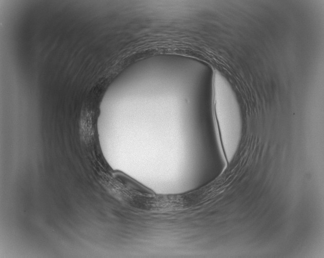 X0000071901347200607070909
