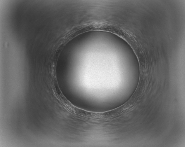 X0000071901349200607070909