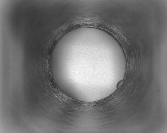 X0000071901350200607070909
