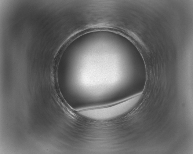 X0000071901356200607070908