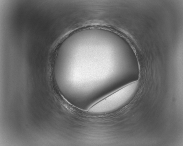 X0000071901359200607070908