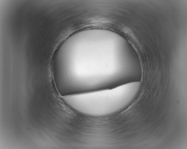 X0000071901362200607070908
