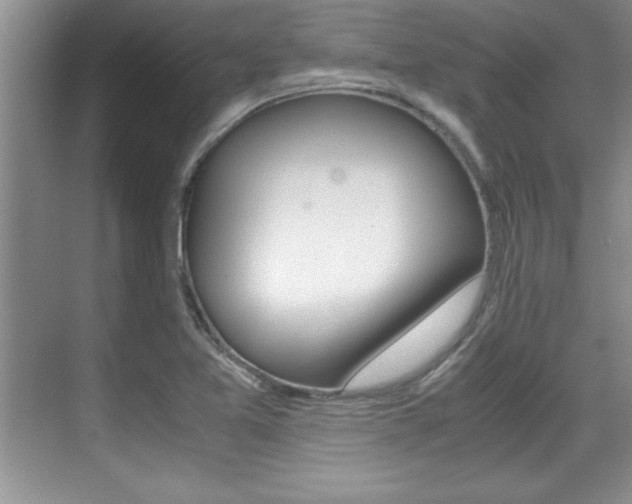 X0000071901365200607070908