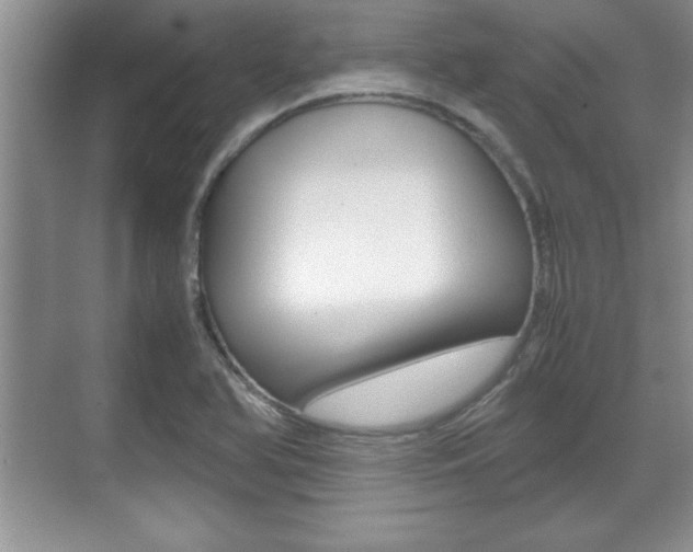 X0000071901366200607070908