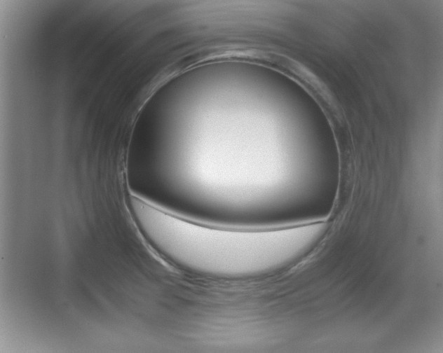 X0000071901377200607070908