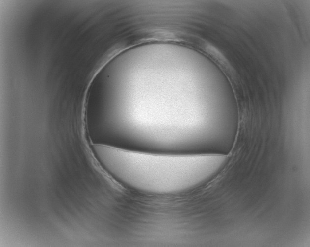 X0000071901378200607070908