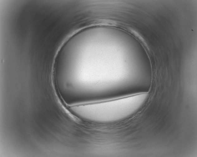 X0000071901379200607070908