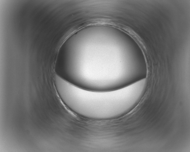 X0000071901385200607070908