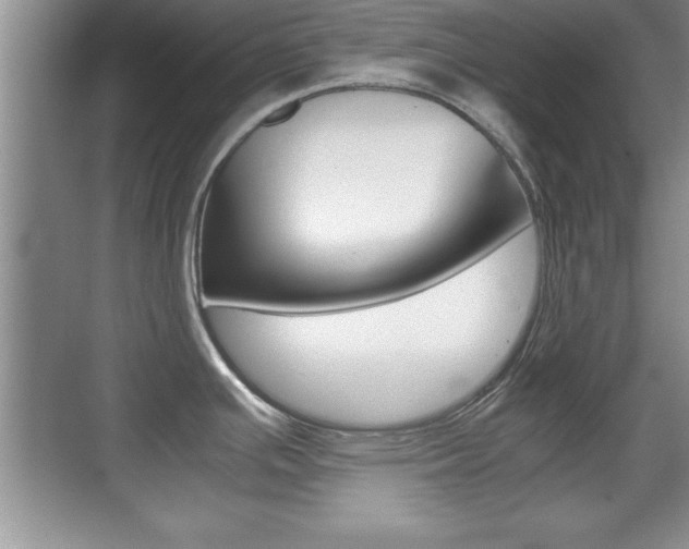 X0000071901391200607070908
